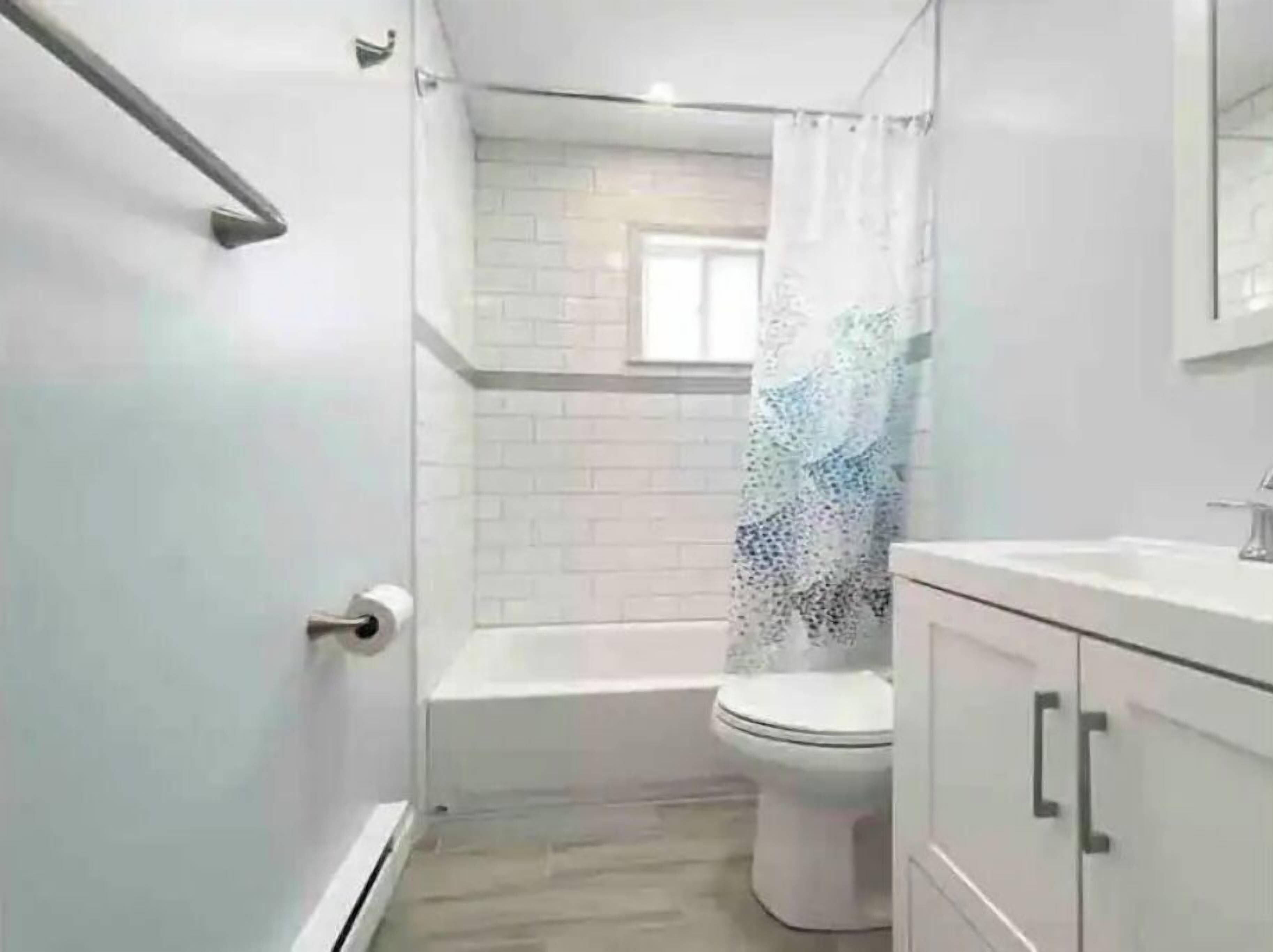 Bathtub, soap, toilet paper