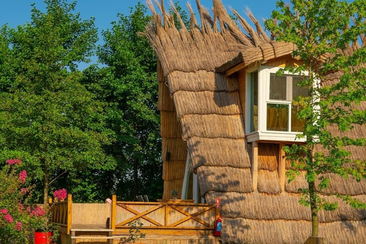 Ropa de cama de alta calidad, colchones con efecto memoria y minibar