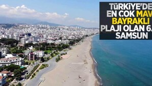 Un paisaje costero con playa y edificios urbanos.