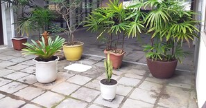 Terrein van de accommodatie