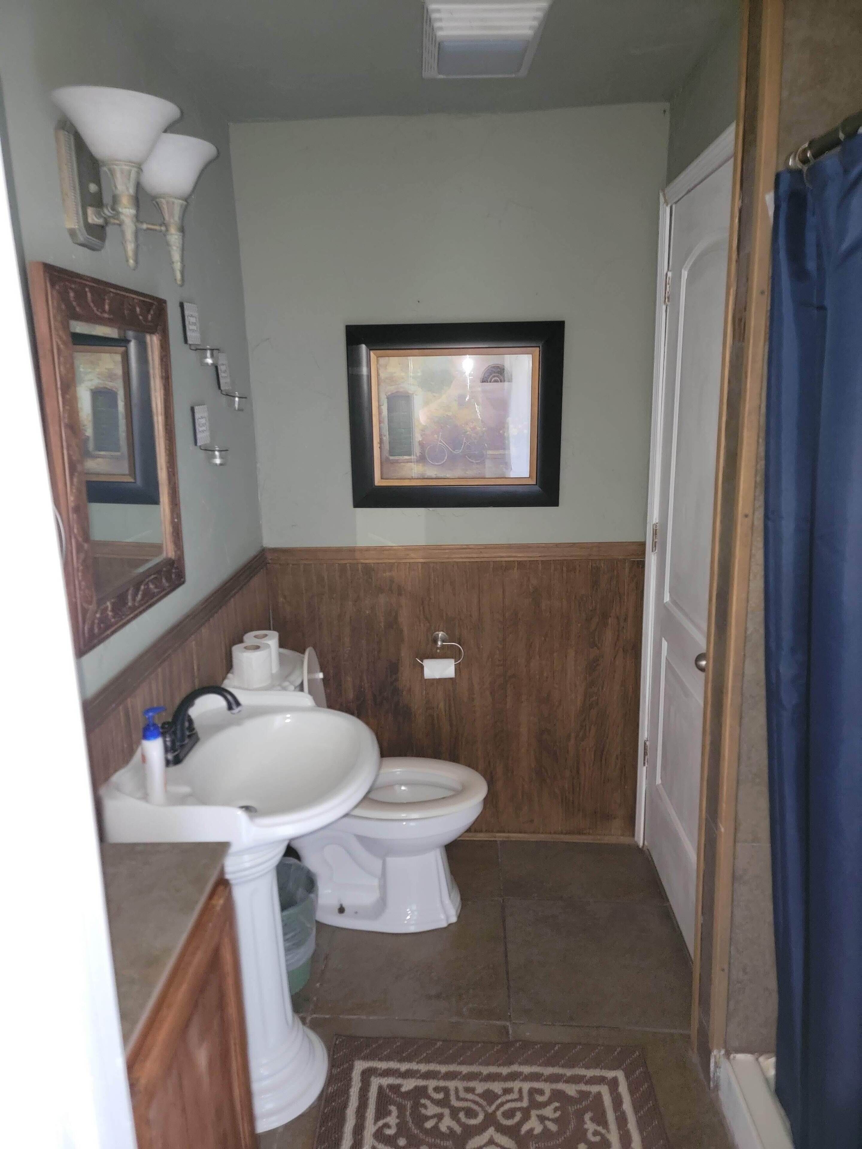 Un bagno con il water, un lavandino e un quadro appeso al muro.