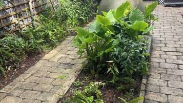 Àrea exterior de l'allotjament