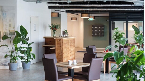 Un espacio de oficina moderno con un mostrador de recepción de madera, varias plantas en macetas y un área de estar con sillas y una mesa.