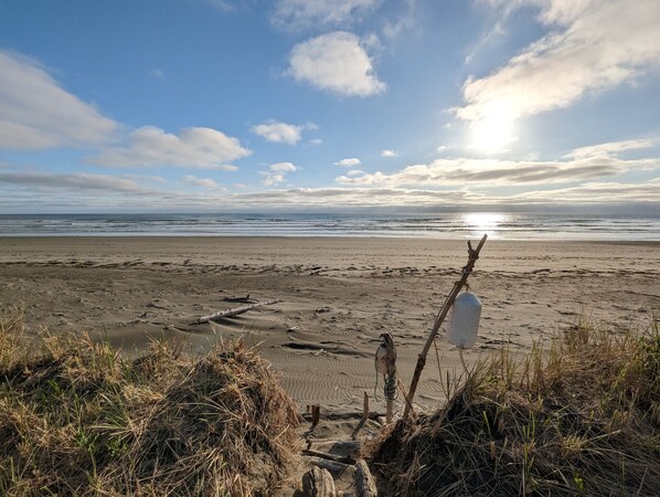 A beach with a sandy shore, scattered driftwood, and a clear sky with clouds.