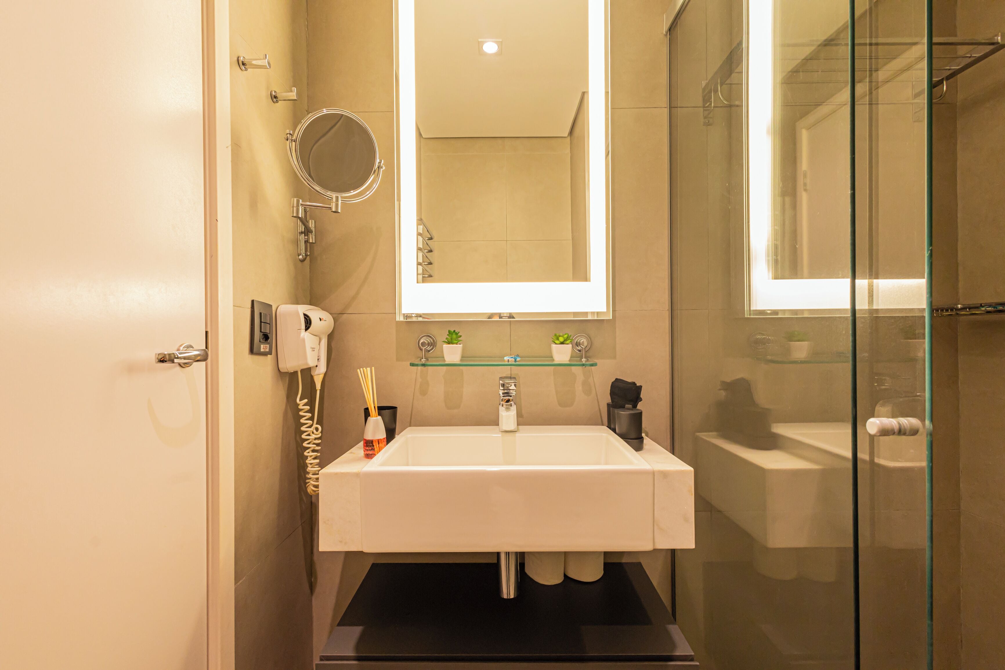 A bathroom with a white sink, a glass shower enclosure, a mirror above the sink, and a small shelf with plants.