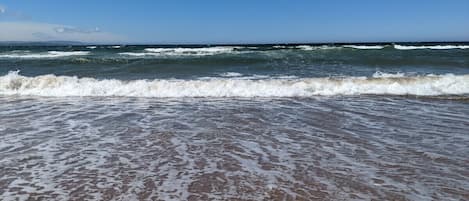 On the beach