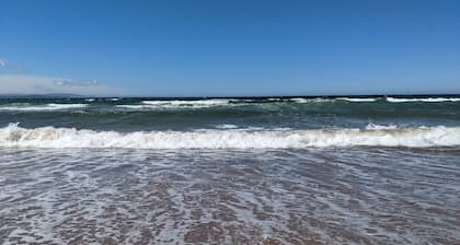 Beach, Beach, Beach - Cabaneaux 1