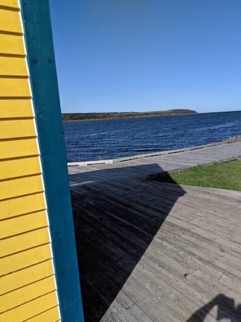 Property grounds. Tiny home on the Boardwalk