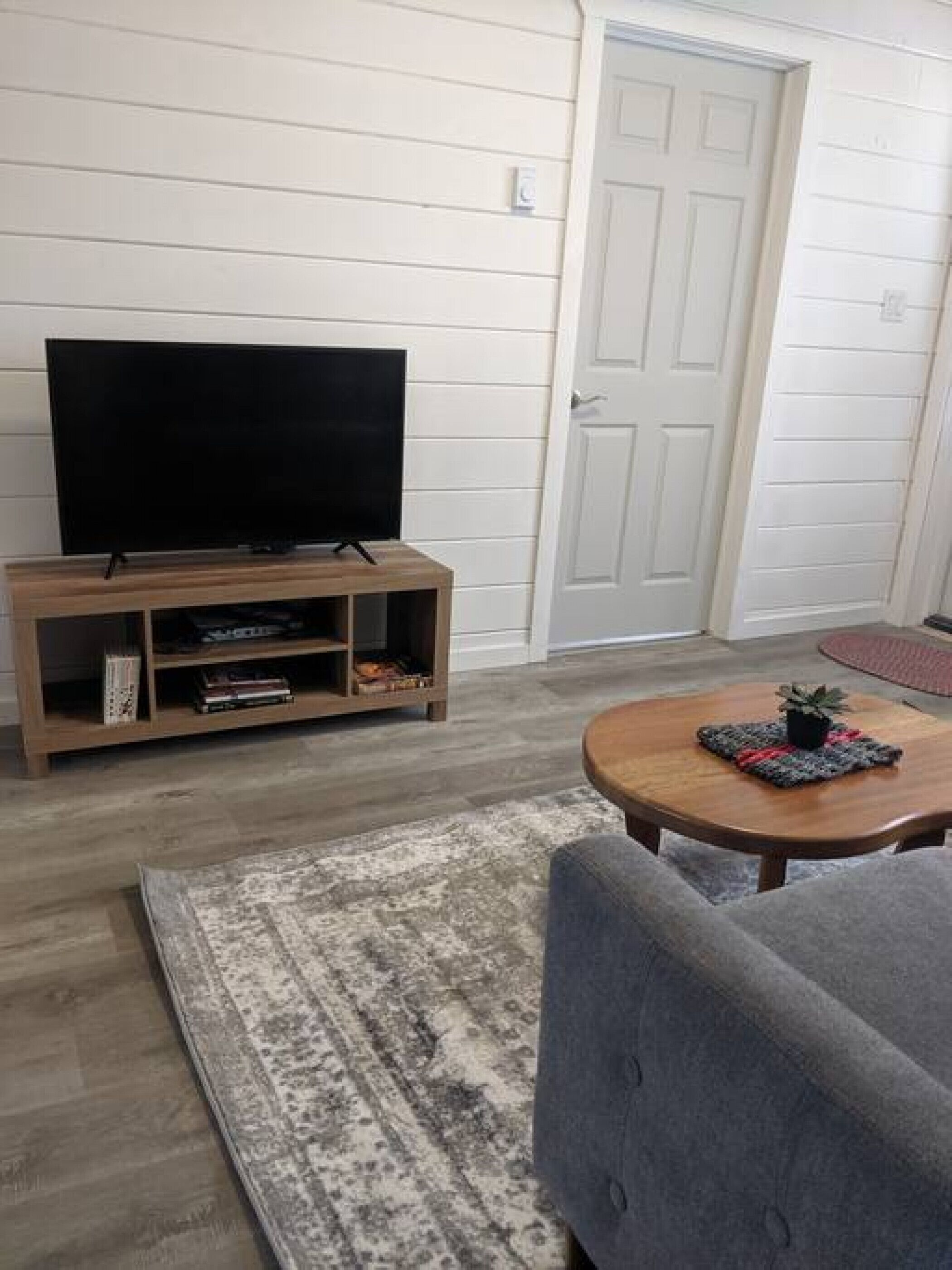 Een woonkamer met een flatscreen televisie op een houten standaard, een grijze bank, een ronde salontafel met een plant en een kamerkleed met een patroon.