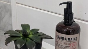 Una saponetta Savon A Mains e una pianta in vaso su una superficie bianca.