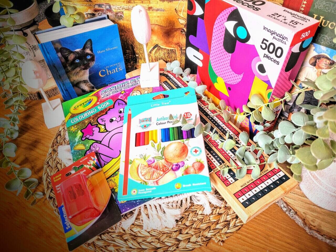 Variedad de libros y materiales para colorear, incluyendo un libro titulado 'Cats' de Hans Silverstein, un libro de colorear y un juego de crayones.