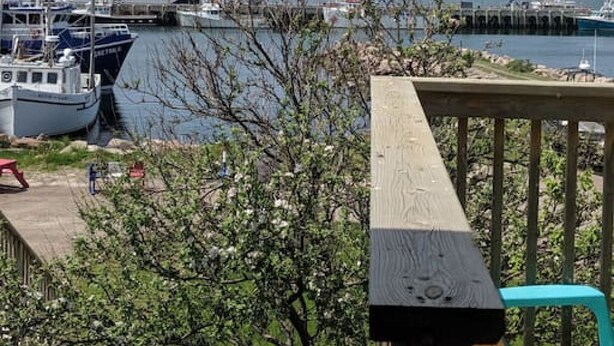 Un port de plaisance avec des bateaux amarrés, une terrasse en bois et une vue sur l’eau et la verdure en arrière-plan.