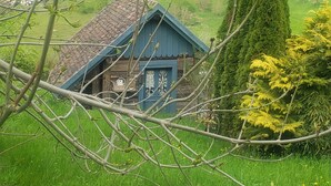 A traditional wooden house with a steeply pitched roof, surrounded by lush green fields and a tall coniferous tree. - Le gite à mamie (ORBEY)