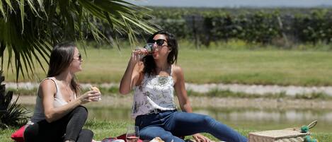 Two people sitting on a picnic blanket outdoors with a basket and drinks.