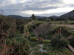 Parco della struttura