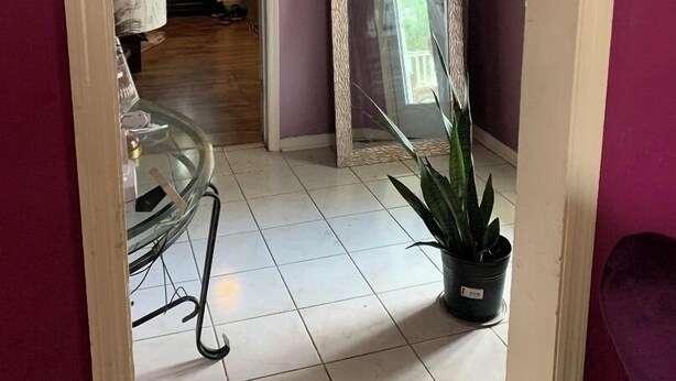 A hallway with a glass table, a potted plant, and a decorative mirror. - Nice to meet you (Jackson)