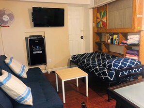 TV, fireplace, DVD player, books