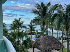 Property grounds - Tropical ocean view one bedroom (Hollywood)