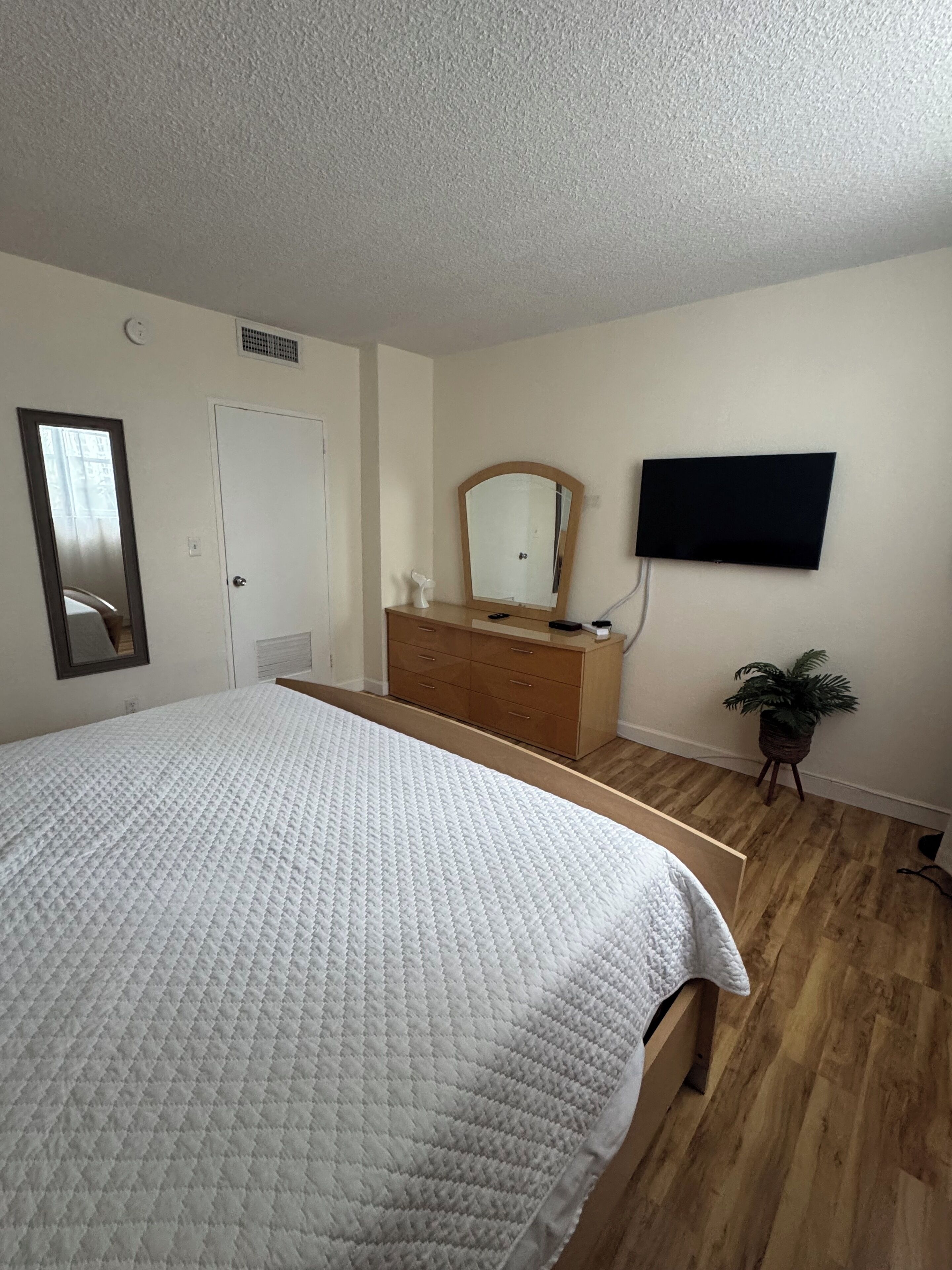 A bedroom with a large bed, a dresser, a mirror, a television, and a potted plant.
