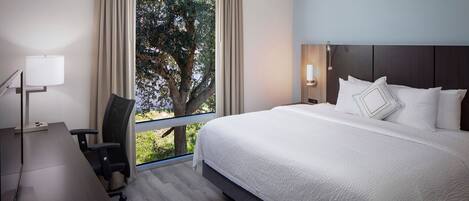 1 chambre, bureau, fer et planche à repasser, Wi-Fi gratuit