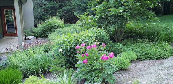 Jardines del alojamiento
