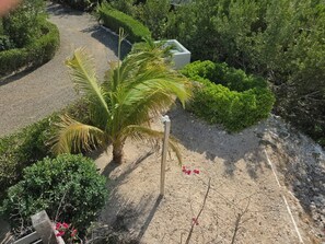 A gravel path with a palm tree and a white planter.