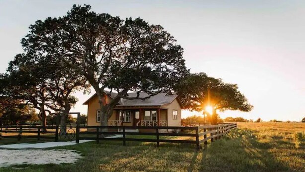 A rustic house with a large tree in front, surrounded by a wooden fence and a grassy field.