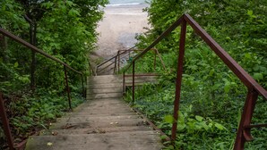 Una escalera de madera conduce a la playa, rodeada de exuberante vegetación.