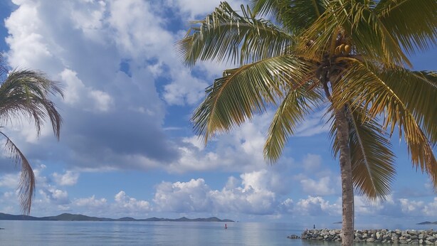 Een strand met helder water, palmbomen en bergen in de verte.
