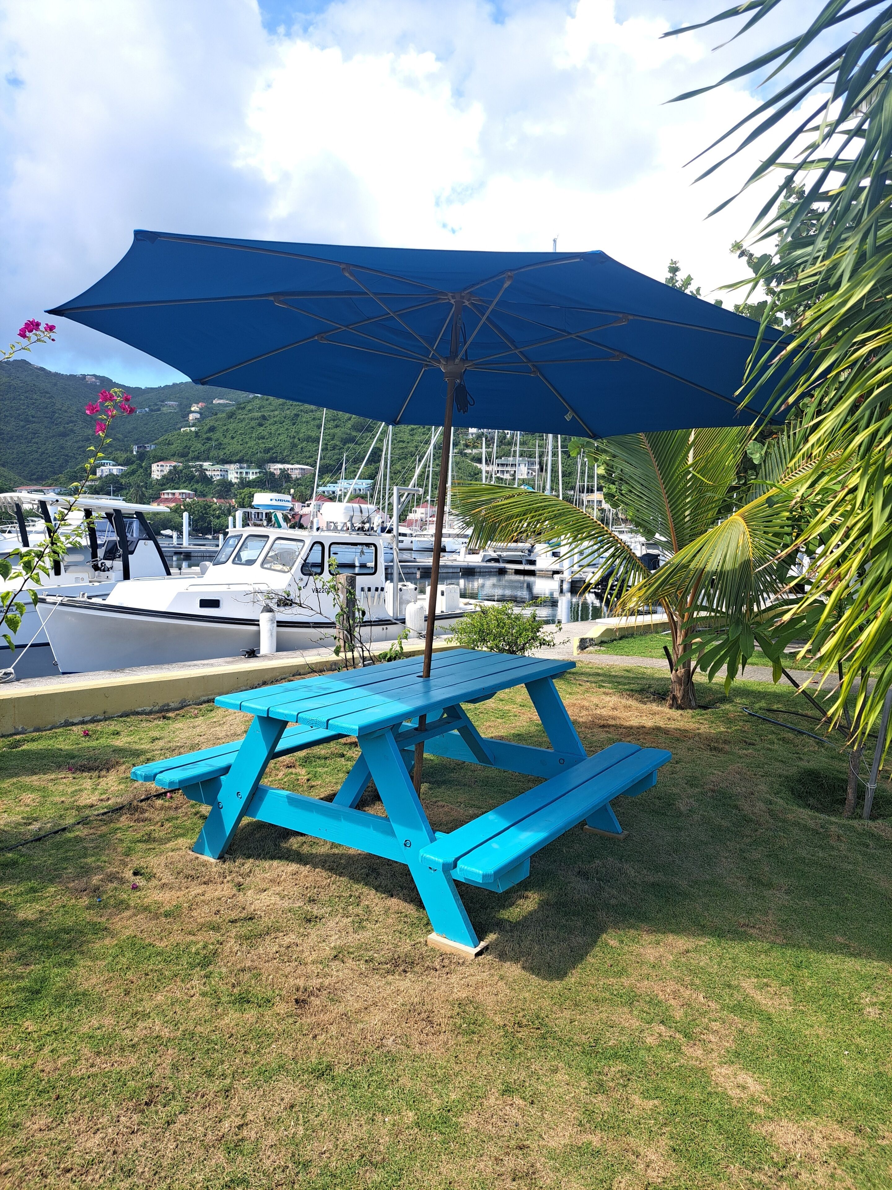 A picnic table under a blue umbrella, surrounded by grass and palm trees, with boats docked in the background.