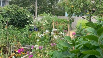 Área da propriedade