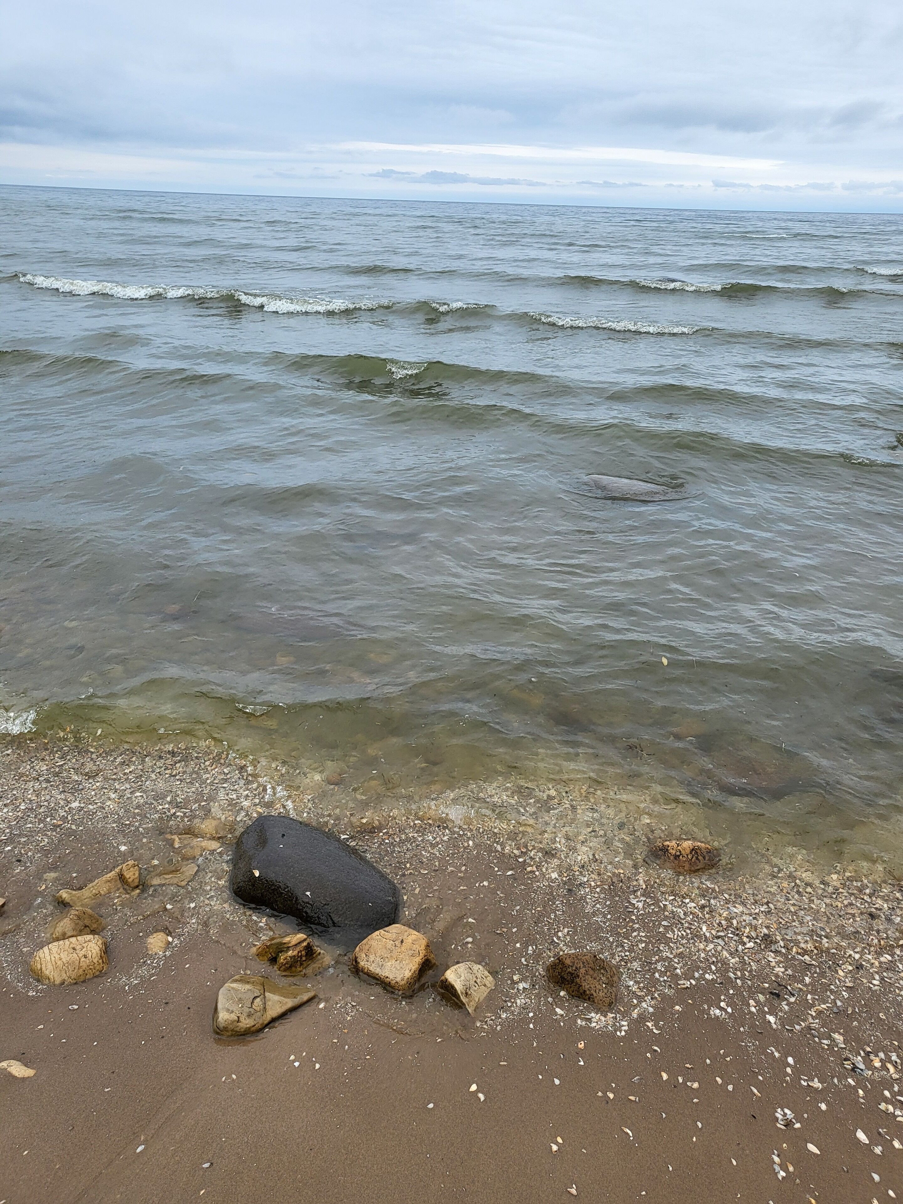 A beach with clear water, pebbles, and rocks.