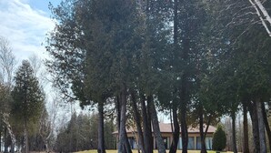 A house surrounded by tall trees in a wooded area. - Lake Michigan Retreat (Menominee)