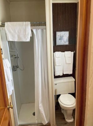 A bathroom with a shower, toilet, and a towel rack.