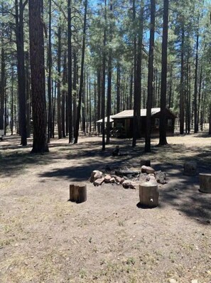 A rustic cabin surrounded by tall pine trees in a forested area.