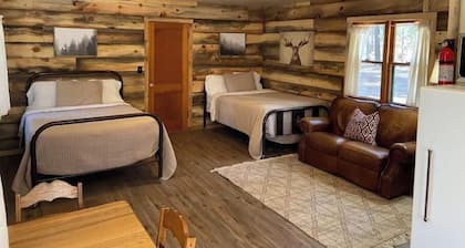 Cheerful cozy cabin in the tall pines Alpine AZ #3