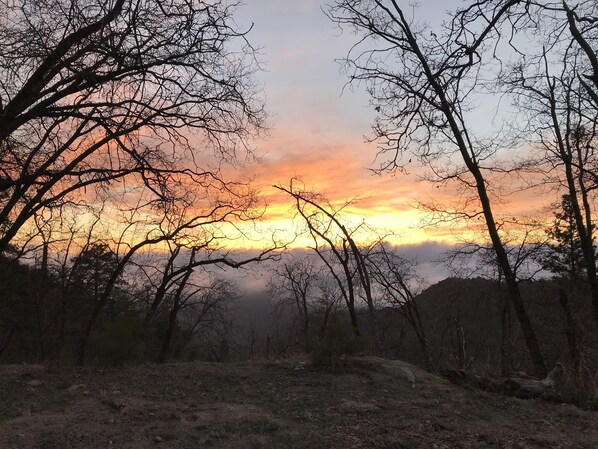 Un paysage boisé où les arbres dénudés se découpent en silhouette sur le ciel au coucher du soleil.