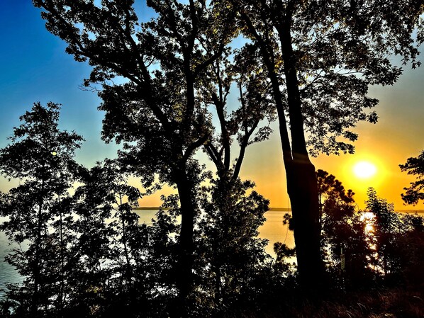 Une vue sur le coucher de soleil à travers les arbres, avec une étendue d'eau calme en arrière-plan.