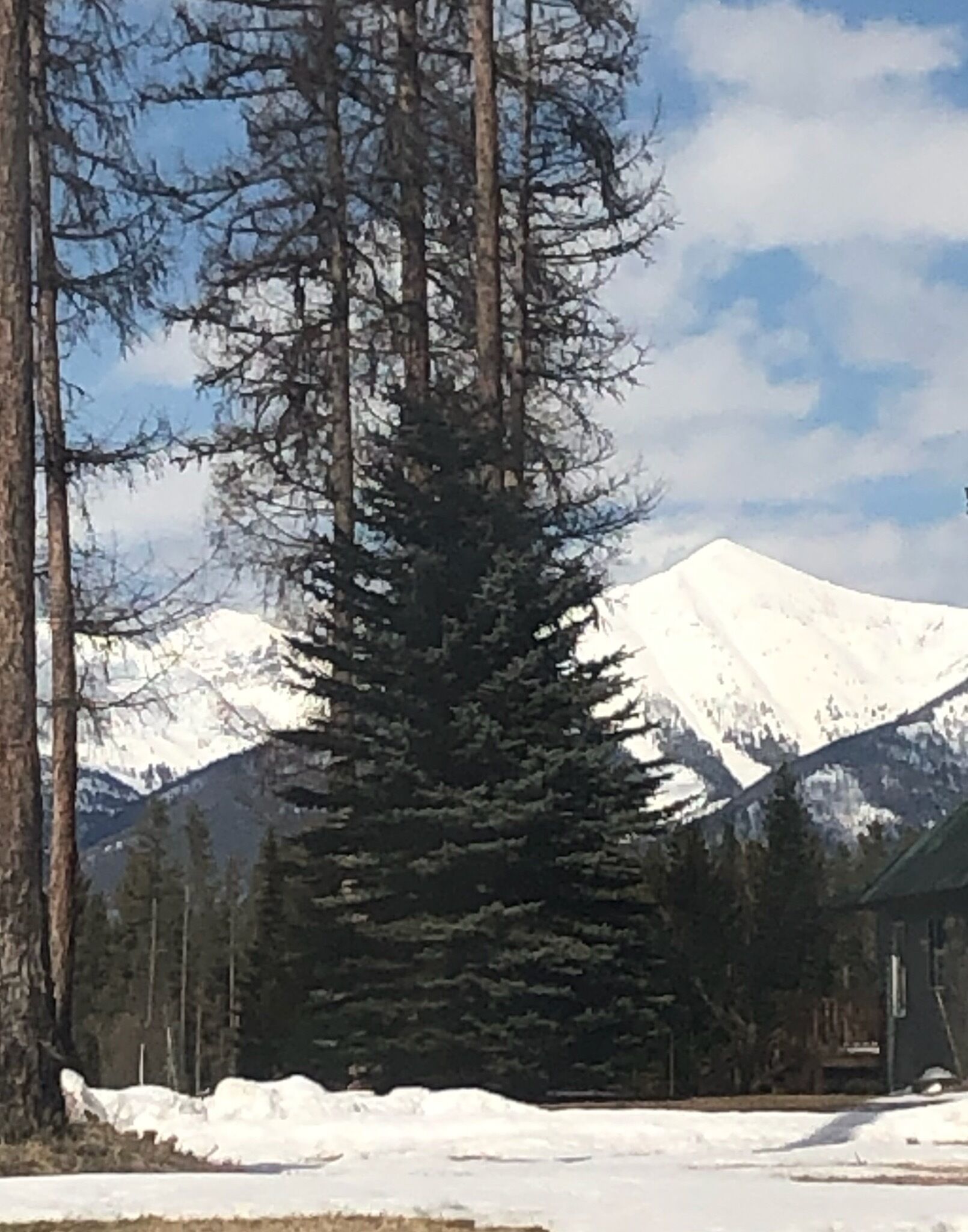 Ein schneebedeckter Berg mit einer Berghütte im Vordergrund.
