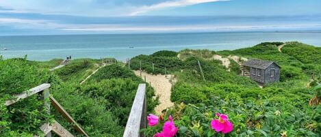 Playa en los alrededores