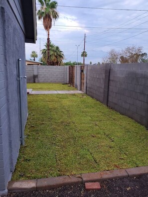 A fenced backyard with a grassy lawn, a concrete pathway, and a palm tree.
