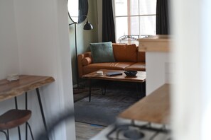 Smart TV, fireplace, books