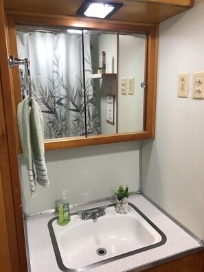 シャワー付き浴槽、タオル、石鹸、トイレットペーパー