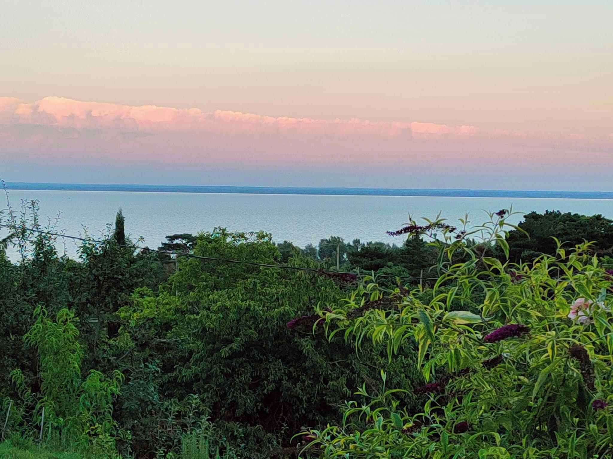 A coastal landscape with dense vegetation in the foreground and a view of the sea in the background.