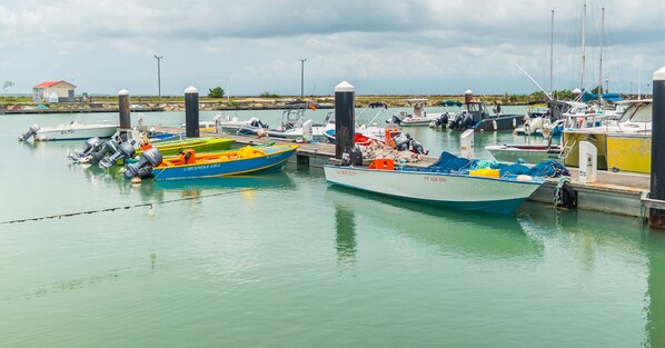 Marina