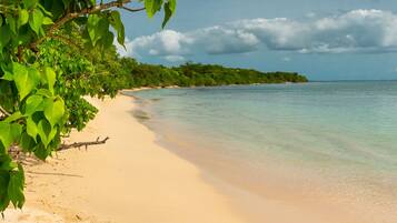 On the beach, sun-loungers