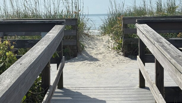 Une promenade en bois mène à une plage bordée de hautes herbes de chaque côté.