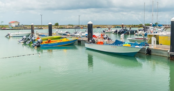 Marina