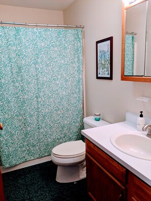 Combined shower/bathtub, hair dryer, towels, soap