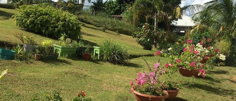 Terrein van de accommodatie